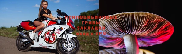 мдпв Арсеньев
