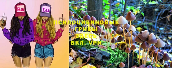 мдпв Арсеньев