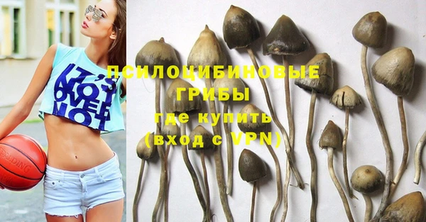 трава Армянск