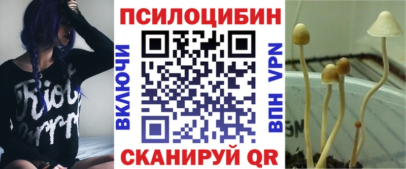 hydra ССЫЛКА  где можно купить наркотик  Суворов  Галлюциногенные грибы ЛСД 